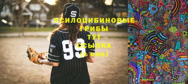 метадон Армянск
