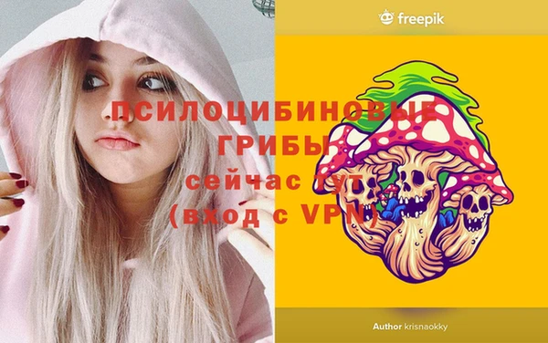 метадон Армянск