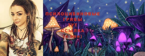 не бодяженный Аркадак