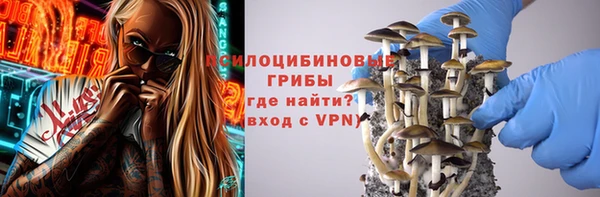 не бодяженный Аркадак