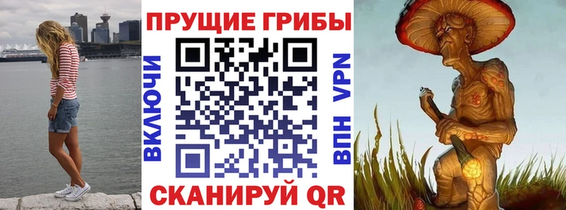 Галлюциногенные грибы Cubensis  Бологое 