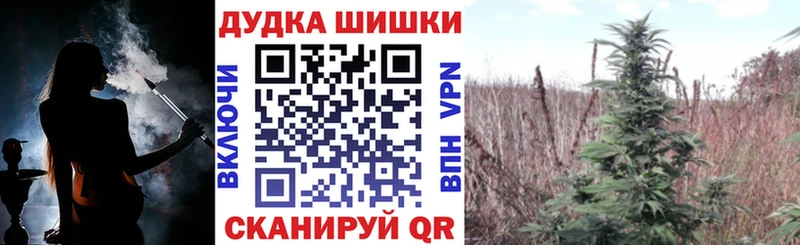 kraken онион  сколько стоит  Бологое  МАРИХУАНА SATIVA & INDICA 